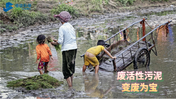 變廢為寶，微波消解助廢活性污泥銅檢測